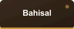 Bahisal bonus kartı