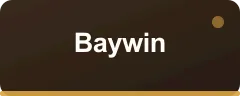 Baywin bonus kartı