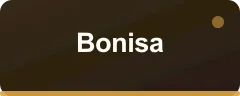 Bonisa bonus kartı