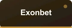 Exonbet bonus kartı