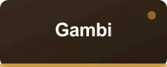 Gambi bonus kartı