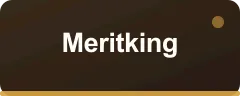 Meritking bonus kartı