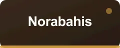 Norabahis bonus kartı