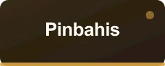 Pinbahis bonus kartı