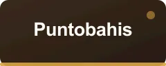 Puntobahis bonus kartı